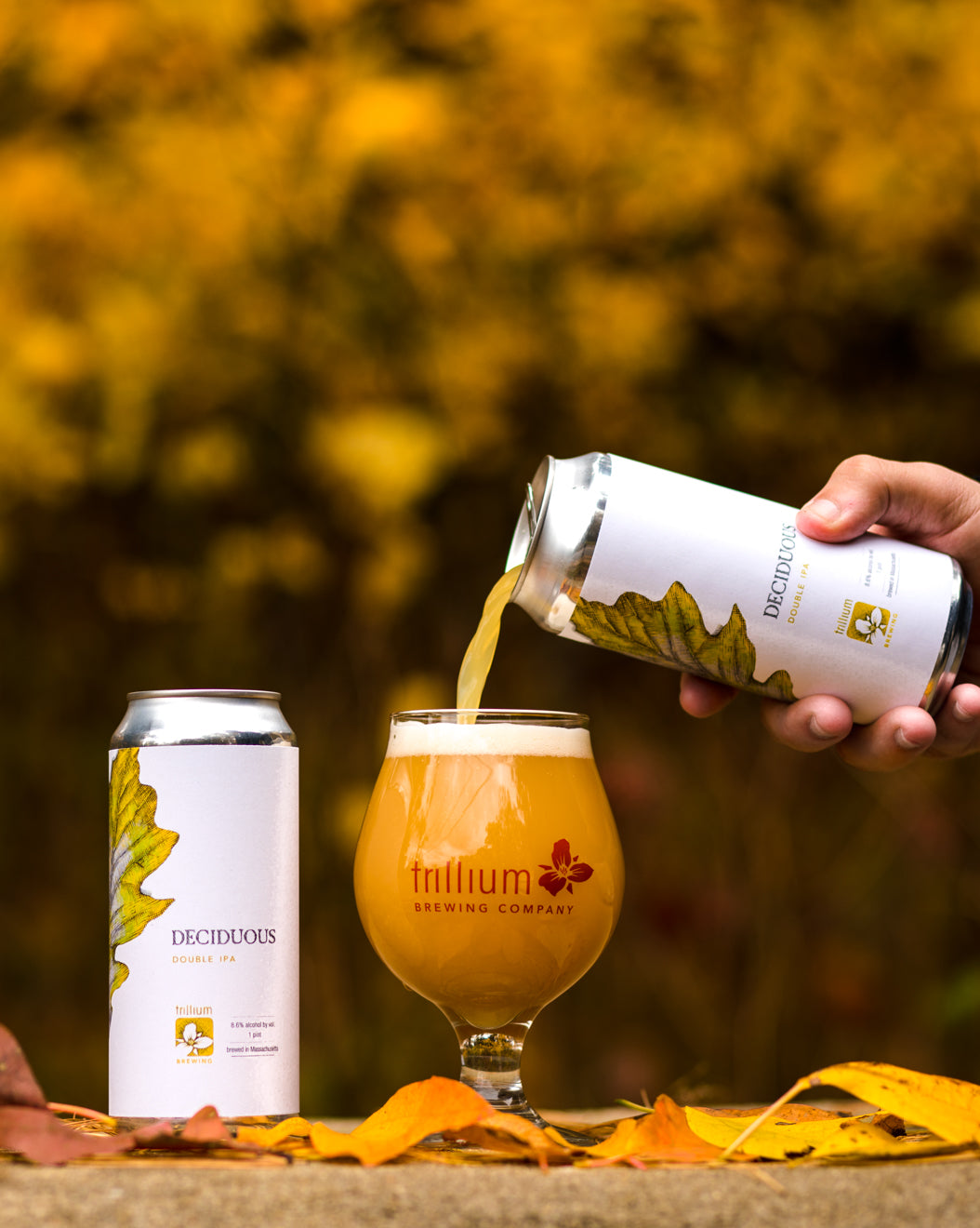 Deciduous 2019
