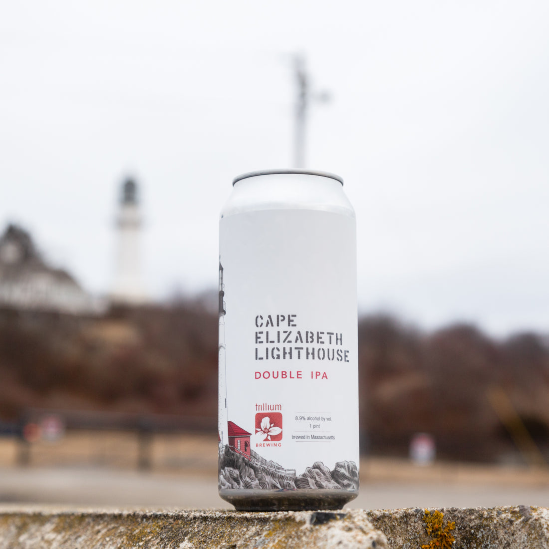 Cape Elizabeth LIghthouse
