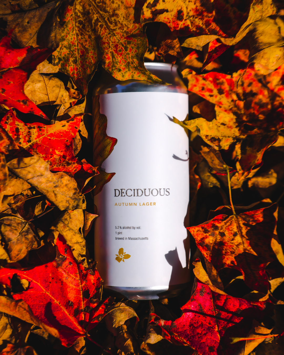 Deciduous: Autumn Lager