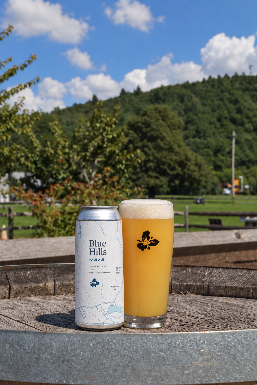 Blue Hills Pale Ale