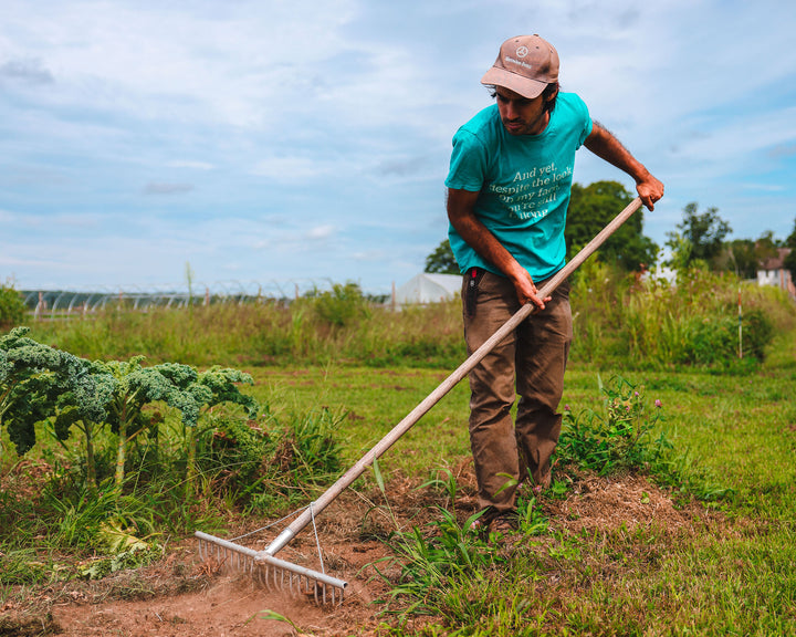 Farmer at work raking a field of crops