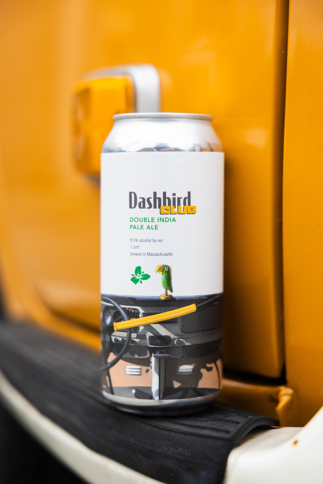 Dashbird - The Club