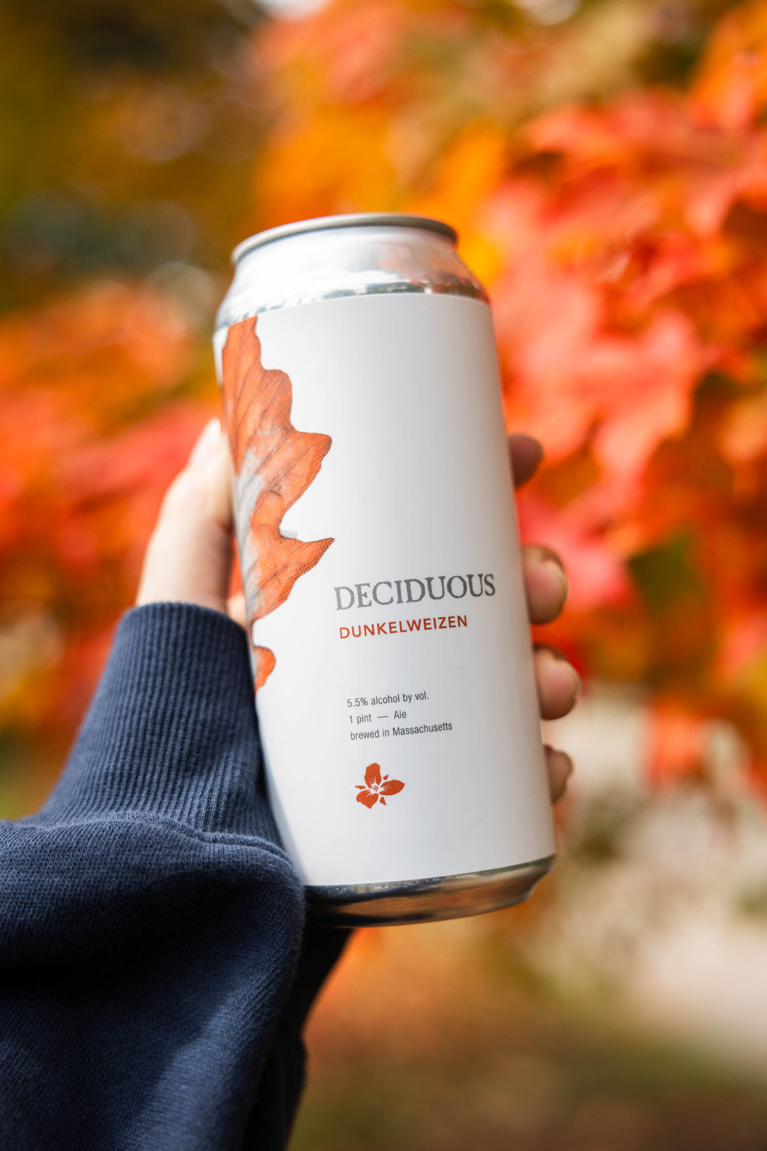 Deciduous: Dunkelweizen