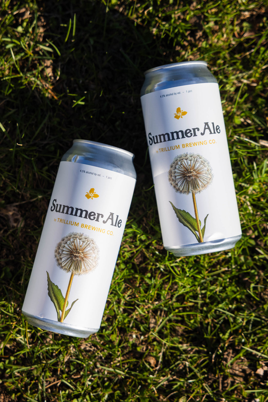 Summer Ale