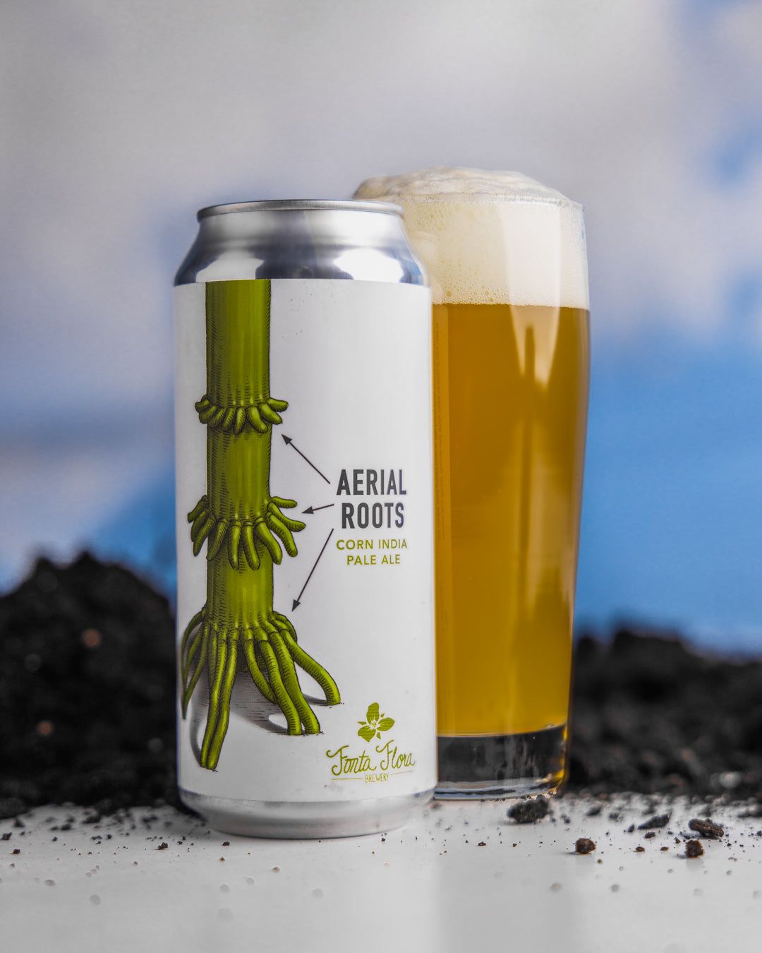 Aerial Roots – Trilliumbrewing.com