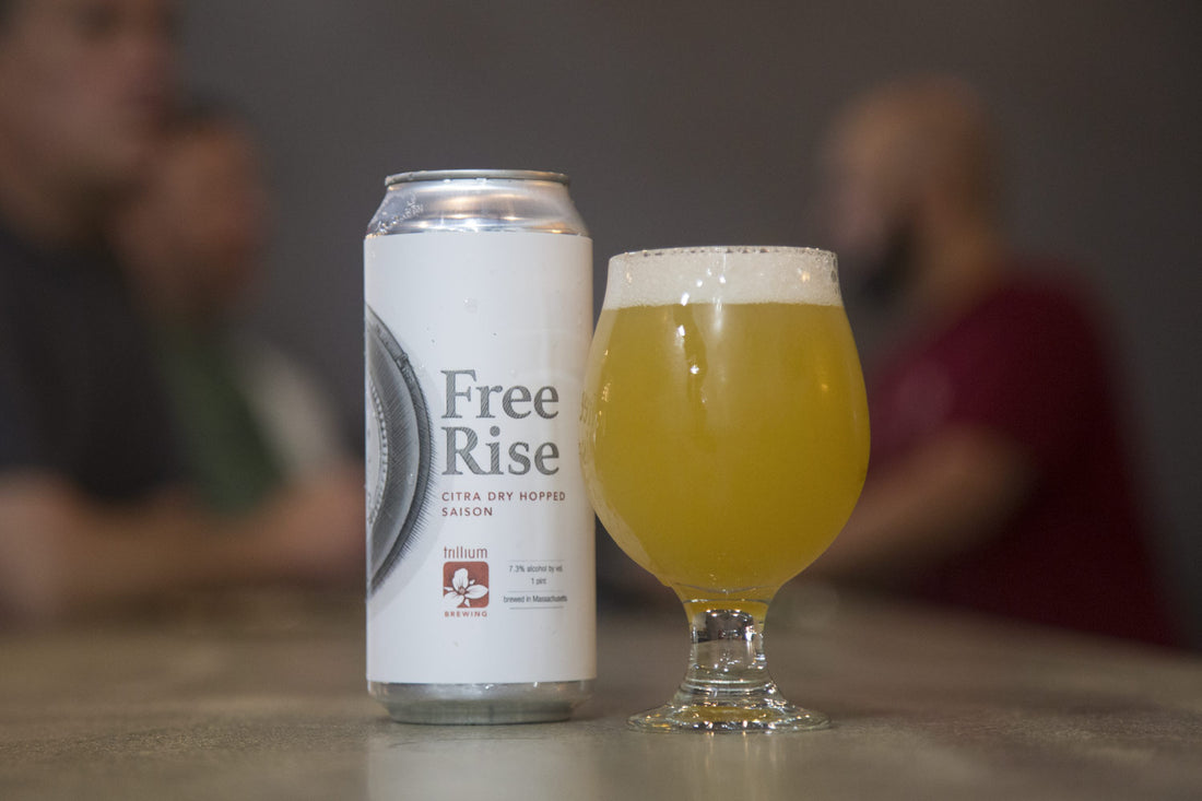 Free Rise Citra