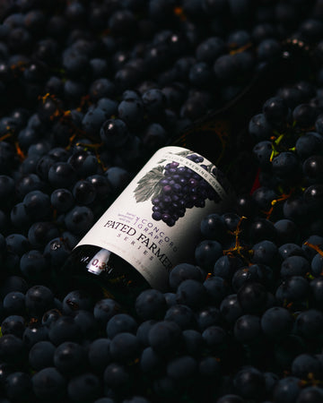 Fated Farmer: Concord Grape
