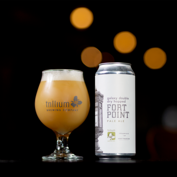 Double Dry Hopped Galaxy Fort Point