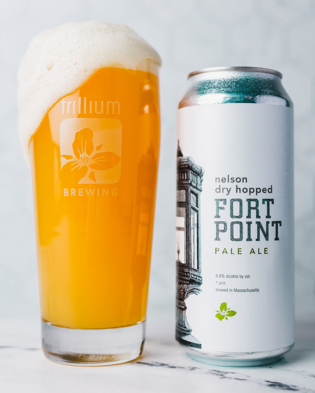 Fort Point Pale Ale Nelson