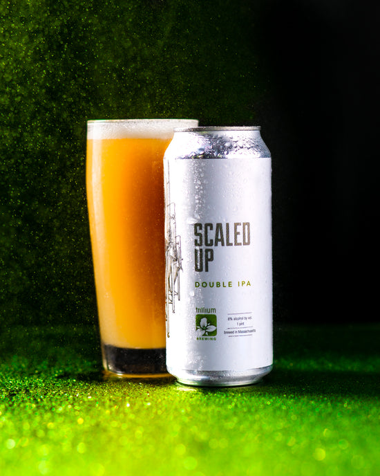 15 Most Popular Citrus Beers to Try 6 Trillium Scaled Up