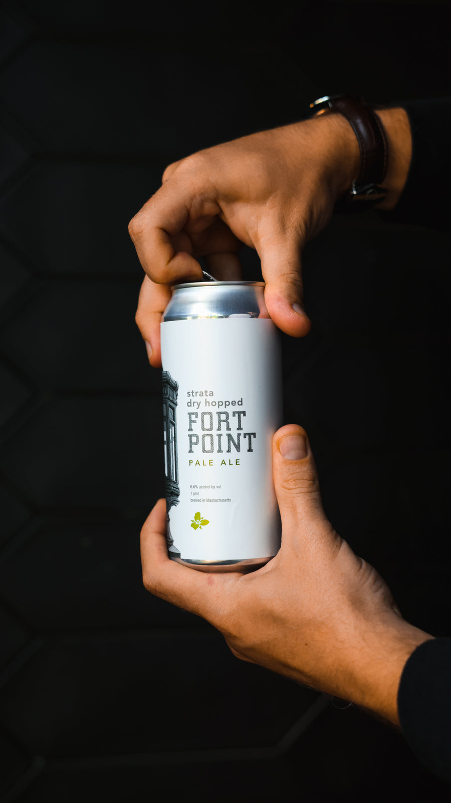 Fort Point Pale Ale Strata